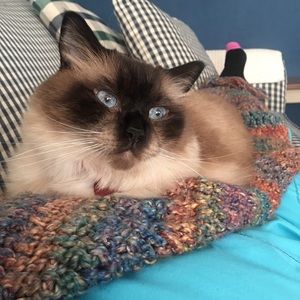 Meet your Posher, Amy